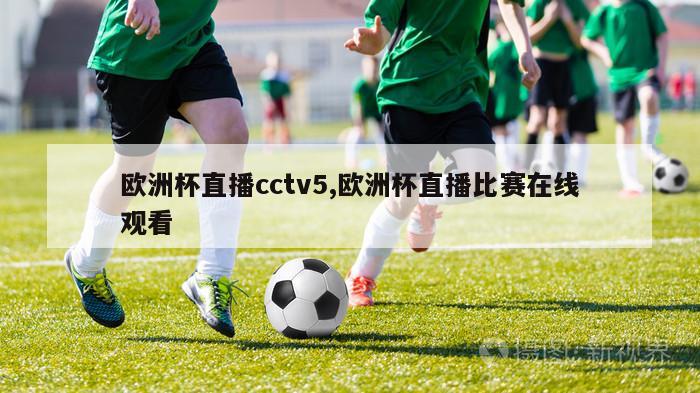 欧洲杯直播cctv5,欧洲杯直播比赛在线观看