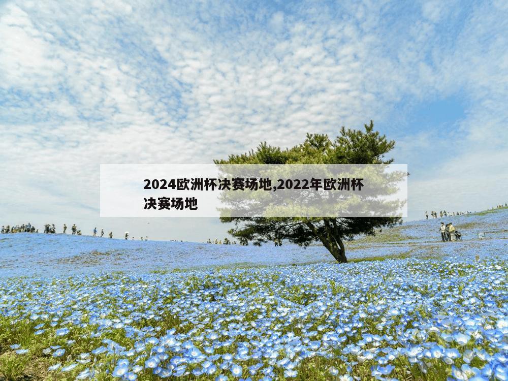 2024欧洲杯决赛场地,2022年欧洲杯决赛场地